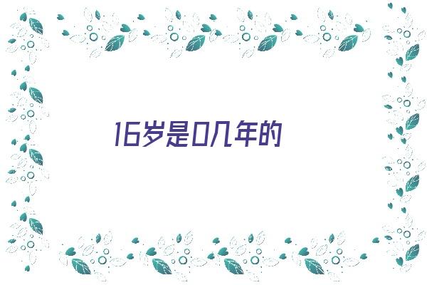 16岁是0几年的《24年16岁是0几年的》