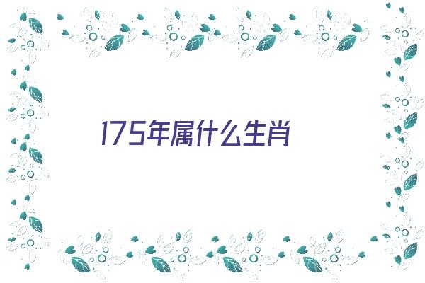 175年属什么生肖