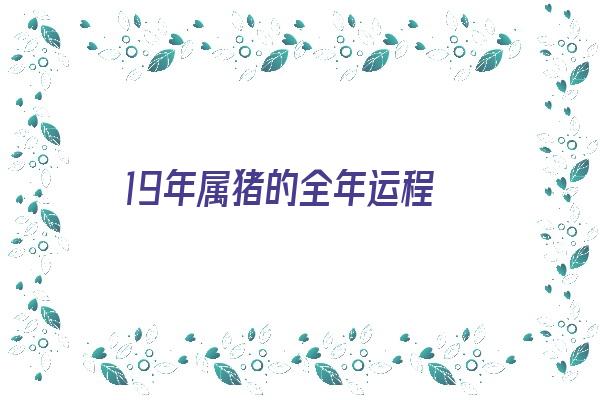 19年属猪的全年运程《19年属猪的全年运程如何》