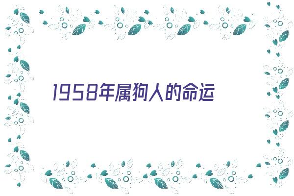 1958年属狗人的命运《1958年属狗人的命运如何》