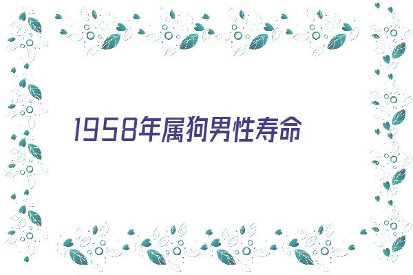 1958年属狗男性寿命《1958年属狗男性寿命多大》