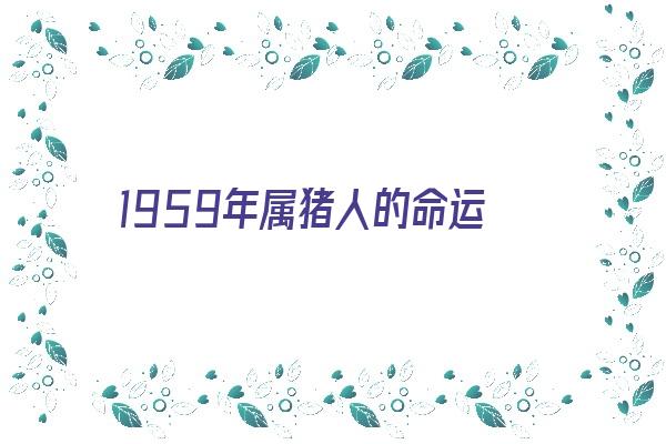 1959年属猪人的命运《1959年属猪人的命运分析》