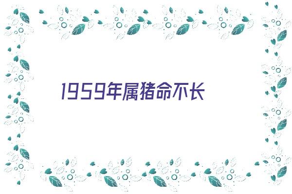 1959年属猪命不长《1959年属猪命不长能活多少岁》