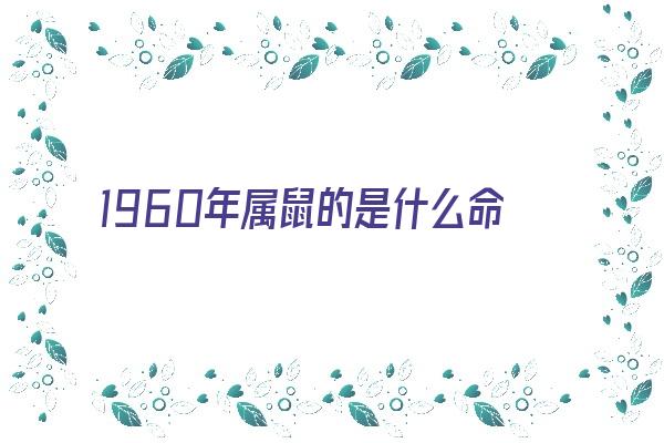  1960年属鼠的是什么命《1961年属牛的是什么命》 生肖运势