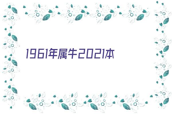 1961年属牛2021本命年运势如何 60岁牛年本命年犯太岁如何破解《1961年的牛2021年本命年禁忌》