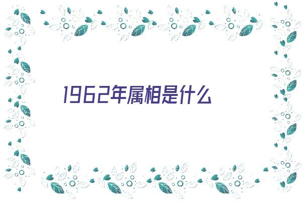 1962年属相是什么《1962年属相是什么生肖呢》