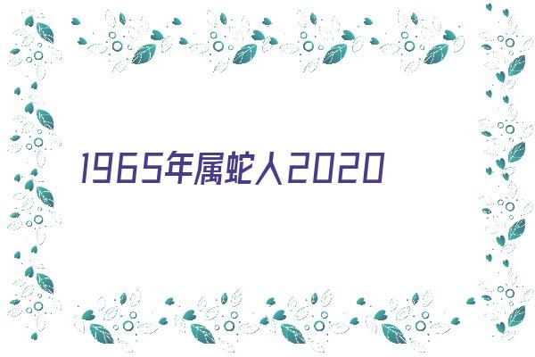  1965年属蛇人2020年运势 生肖运势