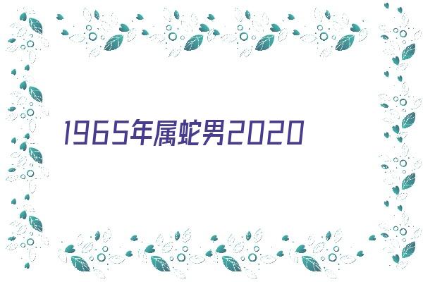 1965年属蛇男2020年运势