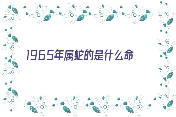  1965年属蛇的是什么命 生肖运势