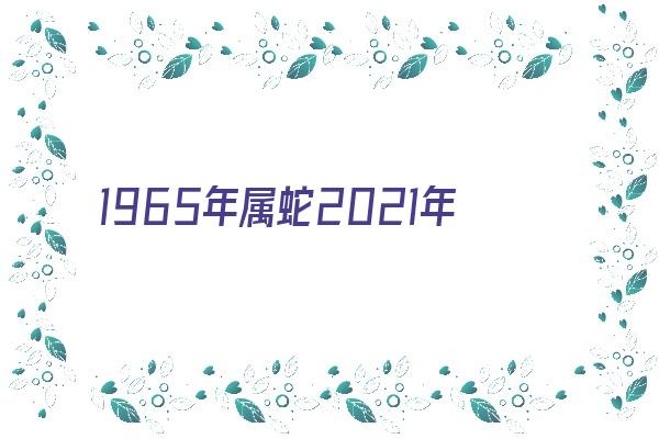 1965年属蛇2021年的运程