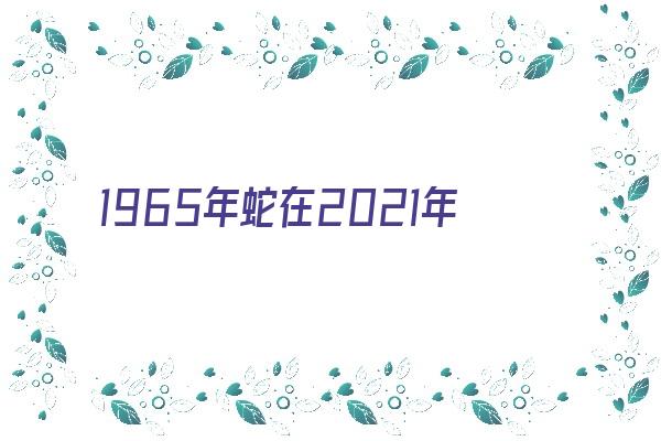 1965年蛇在2021年如何