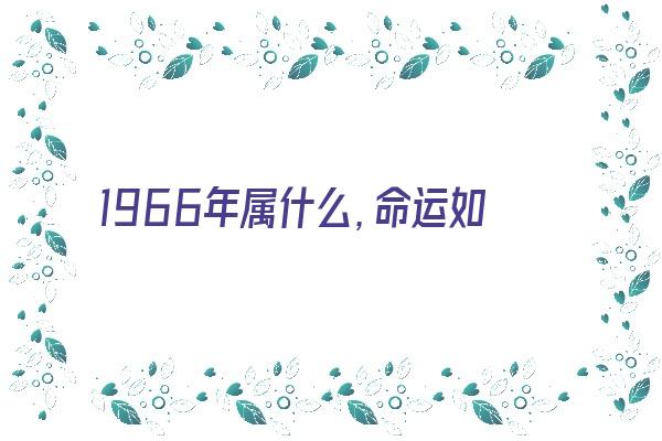 1966年属什么，命运如何？《1966年属什么,命运如何啊》