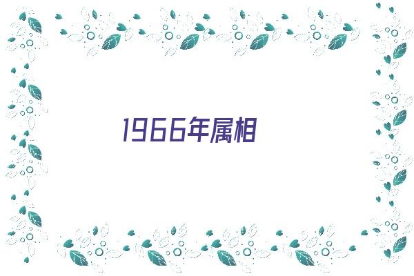 1966年属相《1966年属相属什么》