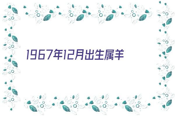 1967年12月出生属羊适合工作《1967年12月出生属羊适合工作还是生活》