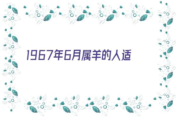 1967年6月属羊的人适宜事业《1967年6月属羊的人适宜事业吗》