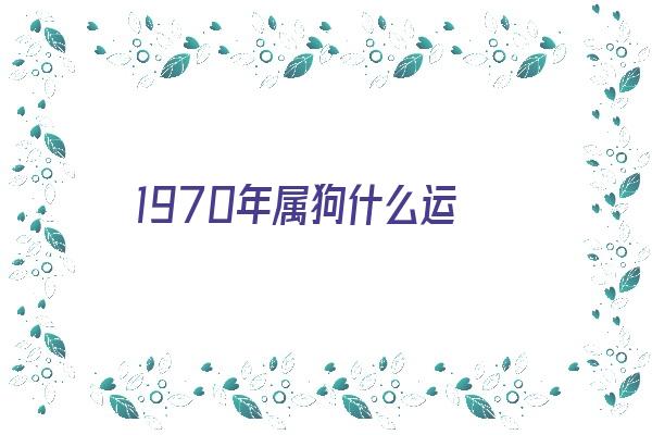 1970年属狗什么运《1970年属狗的人终身运程》