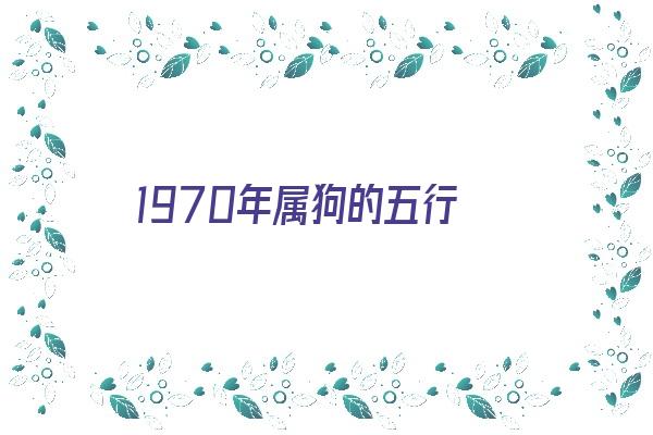 1970年属狗的五行《1970年属狗的五行属什么命》