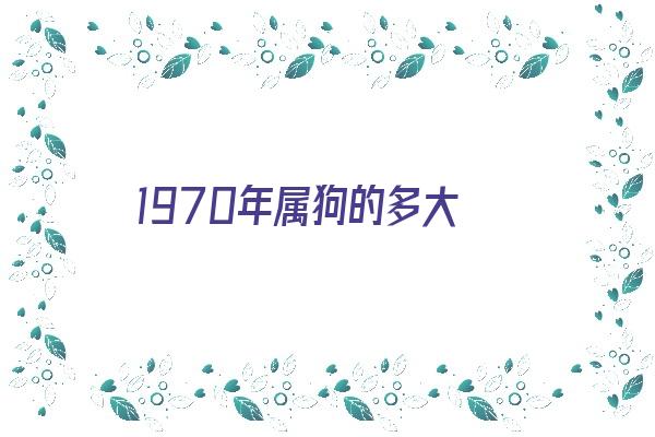 1970年属狗的多大《1970年属狗的多大岁数了》