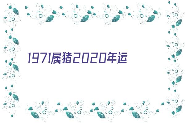 1971属猪2020年运势如何《1971属猪2020年运势及运程》