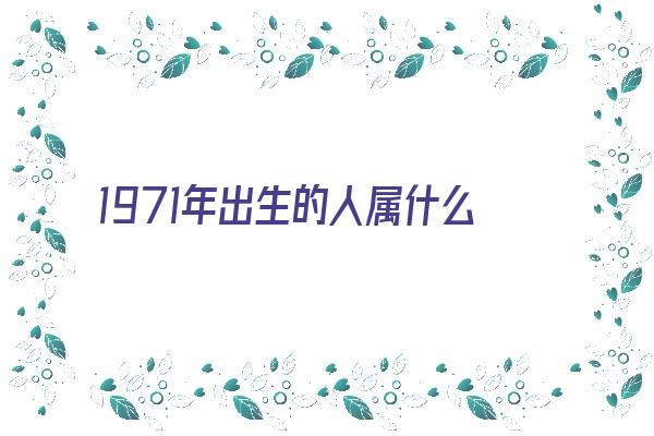 1971年出生的人属什么《1971年出生的人属什么生肖》