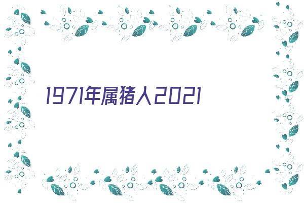 1971年属猪人2021年运势及命运 51岁生肖猪在牛年每月运程如何《1971年属猪的牛年运势》