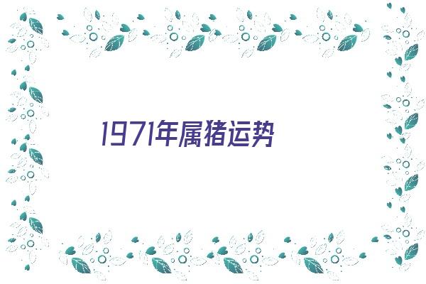 1971年属猪运势《1971年属猪运势及运程》