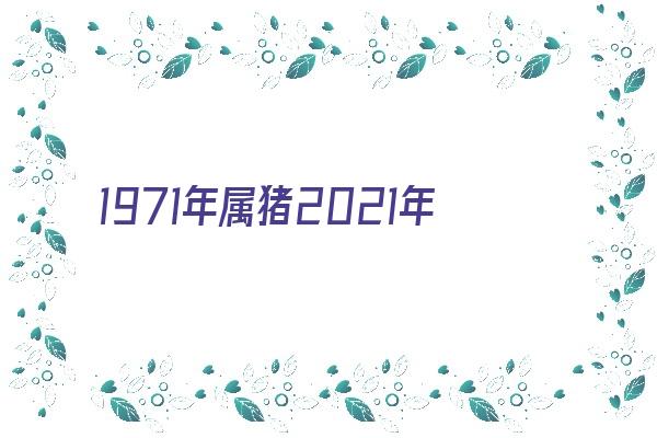 1971年属猪2021年运程《1971年属猪2021年运程每月运程》