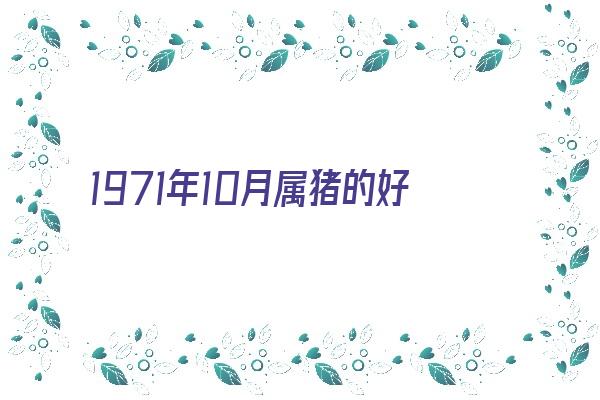 1971年10月属猪的好不好《1971年10月属猪的是什么命》