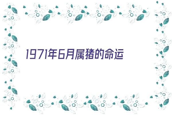 1971年6月属猪的命运性格《1971年6月属猪的命运性格如何》