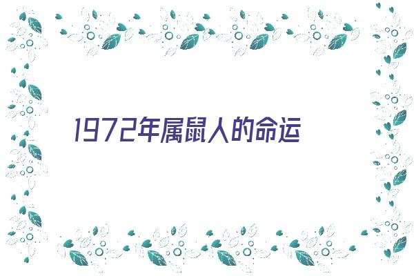 1972年属鼠人的命运《1972年属鼠人的命运如何》