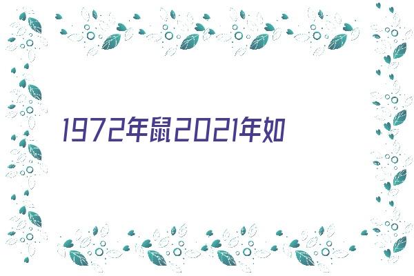 1972年鼠2021年如何《1972年的鼠2021年怎么样》