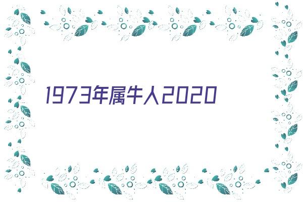 1973年属牛人2020年运势运程《1973年属牛的人2020年运势》