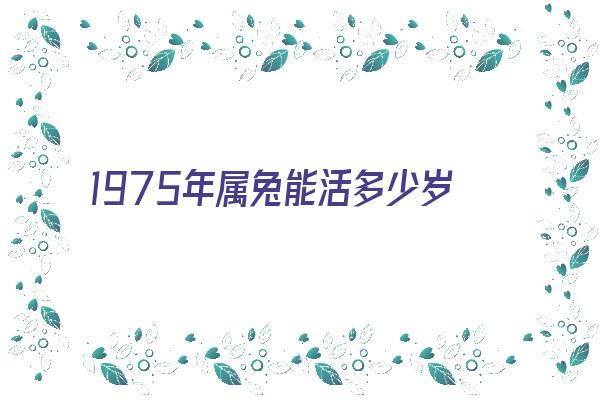  1975年属兔能活多少岁 生肖运势