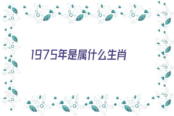 1975年是属什么生肖