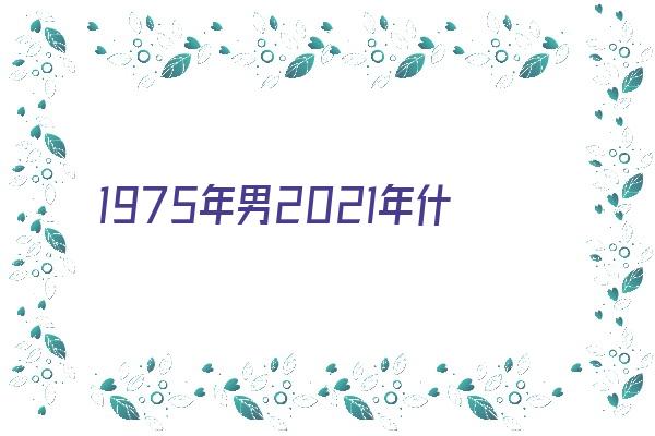 1975年男2021年什么运