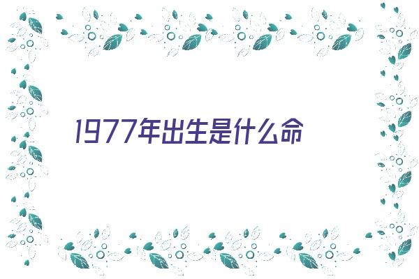 1977年出生是什么命《1977年出生是什么命五行属什么》