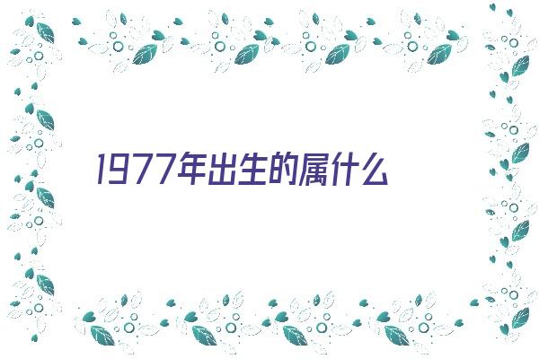 1977年出生的属什么《1977年出生的属什么的》