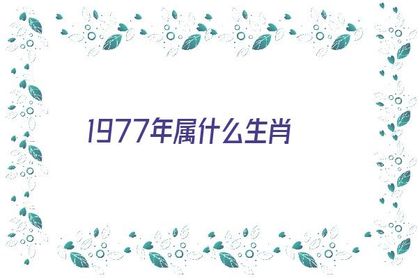  1977年属什么生肖 生肖运势