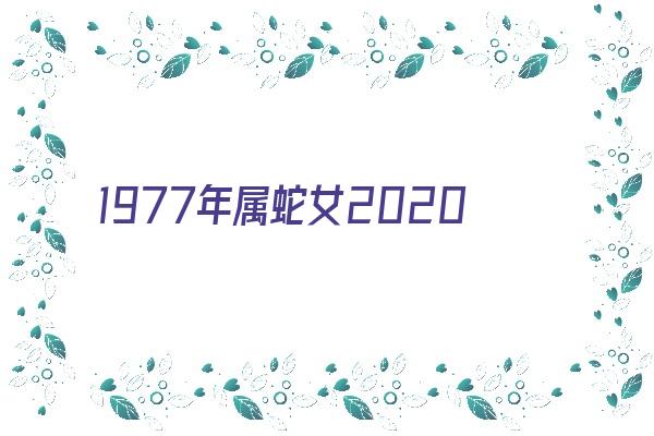 1977年属蛇女2020年每月运程《1977年属蛇女2020年每月运势运程》