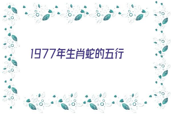 1977年生肖蛇的五行《1977年生肖蛇的五行属什么》