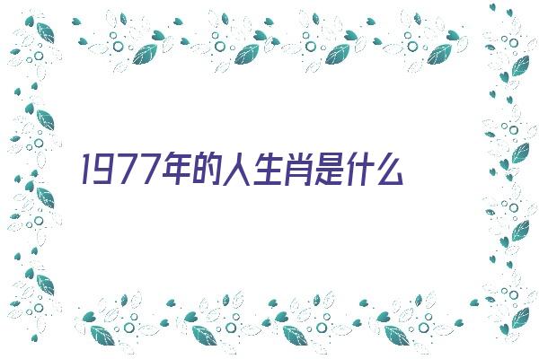 1977年的人生肖是什么《1977年的人生肖是什么生肖》