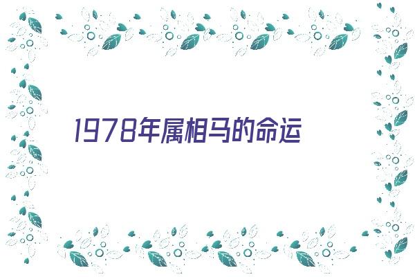  1978年属相马的命运《1978年属相马的命运如何》 生肖运势