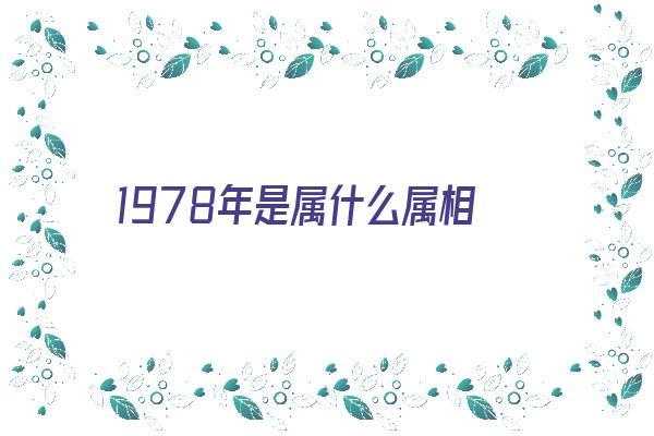 1978年是属什么属相