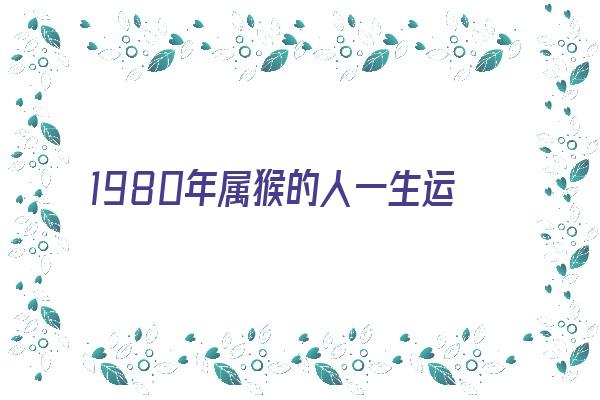 1980年属猴的人一生运势《1980年属猴的人一生运势如何》