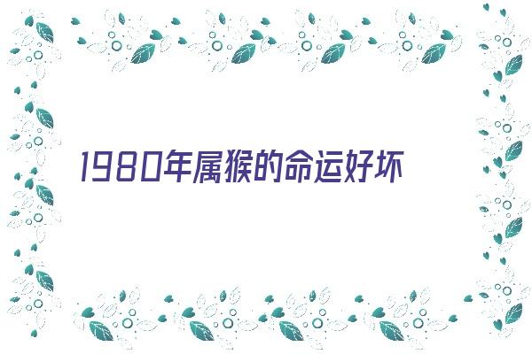  1980年属猴的命运好坏《1980年属猴的命运好坏如何》 生肖运势