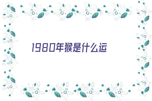 1980年猴是什么运《1980年属猴什么命运》