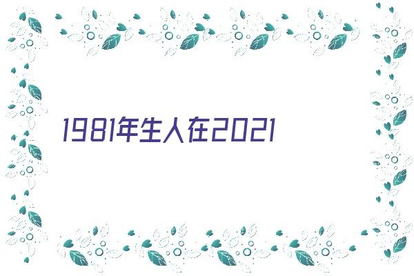  1981年生人在2021年运程《1981年生人在2021年的运程》 生肖运势