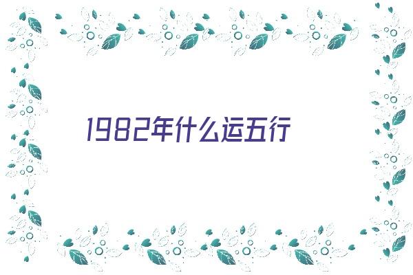 1982年什么运五行《1982年命理五行属什么》