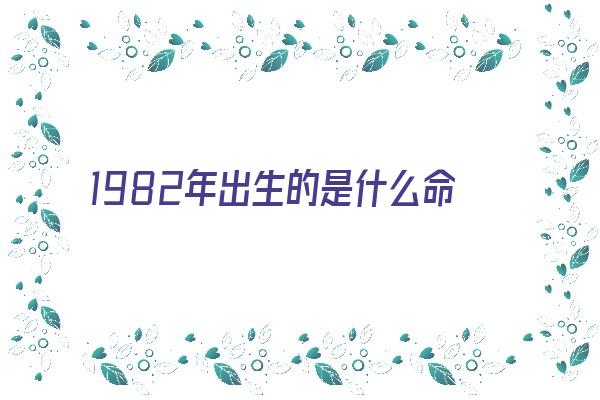 1982年出生的是什么命《1982年出生的狗是什么命》