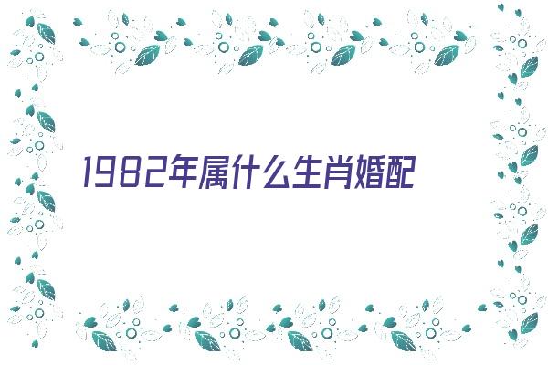 1982年属什么生肖婚配《1982年属什么生肖婚配表》